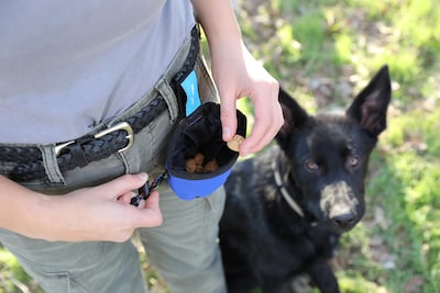 Foto 4 | Foto 4 | Bolsa De Golosinas Para Perros Chuckit Treat Para Adiestramiento De Cachorros - Venta Internacional.