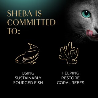 Foto 5 | Foto 5 | Palitos Tiernos Y Carnosos De Sheba De Cat Treats Con Pollo Atún Y Salmón - Venta Internacional.