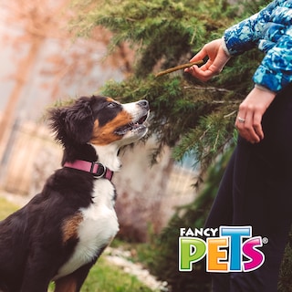 Foto 2 | Foto 2 | Carnaza para Perro Fancy Pets Sabor Res 40 Piezas