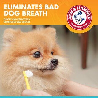 Foto 2 | Foto 2 | Pasta De Dientes Arm & Hammer Fresh Breath Para Perros 75 Ml - Venta Internacional.
