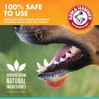 Foto 4 | Foto 4 | Pasta De Dientes Arm & Hammer Fresh Breath Para Perros 75 Ml - Venta Internacional.