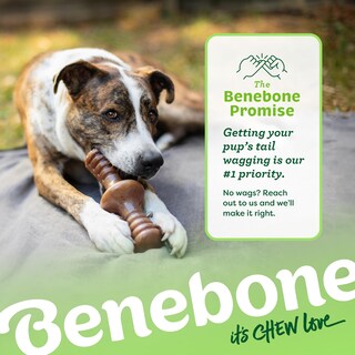 Foto 6 | Foto 6 | Juguete Masticable Para Perros Benebone Zaggler Rolling Para Masticadores Agresivos - Venta Internacional.