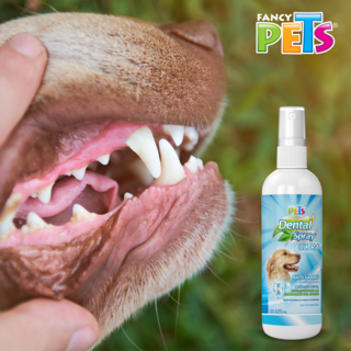 Foto 2 | Foto 2 | Spray Dental Ultra Fancy Pets FL3783 para Perro 125 ml