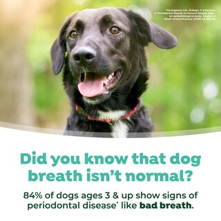 Foto 6 | Foto 6 | Aditivo De Agua Para El Cuidado Bucal De Perros Tropiclean Fresh Breath, 1 Litro - Venta Internacional.