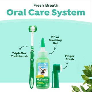 Foto 3 | Foto 3 | Kit De Cuidado Bucal Para Perros Tropiclean Fresh Breath, Cepillo De Dientes Y Pasta - Venta Internacional.