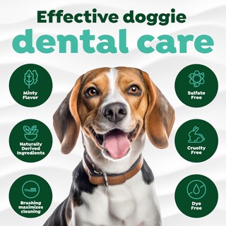 Foto 4 | Foto 4 | Kit De Cuidado Bucal Para Perros Tropiclean Fresh Breath, Cepillo De Dientes Y Pasta - Venta Internacional.