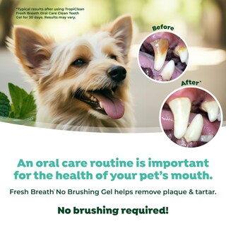 Foto 5 | Foto 5 | Pasta De Dientes Para Perros Tropiclean Fresh Breath Sin Cepillo, Gel Dental - Venta Internacional.