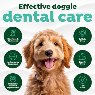 Foto 4 | Foto 4 | Aditivo De Agua Para El Cuidado Bucal De Perros Tropiclean Fresh Breath 480 Ml - Venta Internacional.