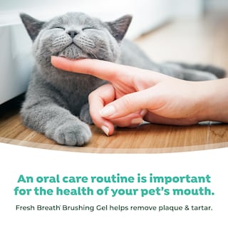 Foto 6 | Foto 6 | Kit De Cuidado Bucal Tropiclean Fresh Breath Cat Con Cepillo De Dientes Y Pasta - Venta Internacional.