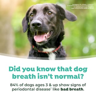 Foto 6 | Foto 6 | Aditivo Para Agua Y Aliento Para Perros Tropiclean Fresh Breath, 1 Litro - Venta Internacional.