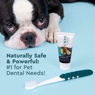 Foto 7 | Foto 7 | Dental Solutions Puppy Kit Radius 1 - Cepillo De Dientes Para Perros Y Pasta De Dientes De 24 Ml - Venta Internacional.