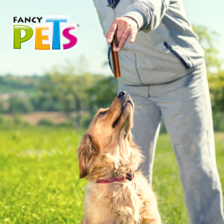 Foto 5 | Foto 5 | Sticks para Perro Fancy Pets Sabor Carne 5 Piezas