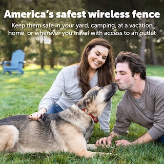 Foto 6 | Foto 6 | Collar Receptor Impermeable Petsafe - Venta Internacional.