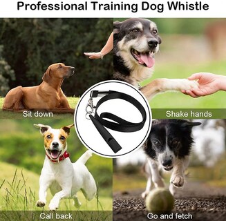 Foto 3 | Foto 3 | Silbato Para Perros Huoguo, Entrenamiento Profesional Para Dejar De Ladrar - Venta Internacional.