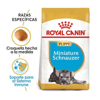 Foto 2 | Foto 2 | Alimento para Perro Mini Schnauzer Puppy Royal Canin 1.1 Kg