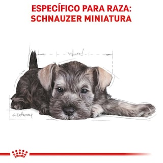Foto 3 | Foto 3 | Alimento para Perro Mini Schnauzer Puppy Royal Canin 1.1 Kg
