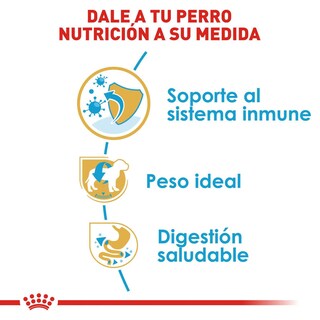 Foto 5 | Foto 5 | Alimento para Perro Mini Schnauzer Puppy Royal Canin 1.1 Kg