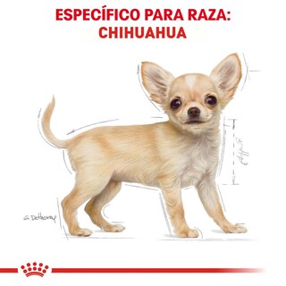 Foto 3 | Foto 3 | Alimento para Perro Chihuahua Puppy Royal Canin 1.1 Kg