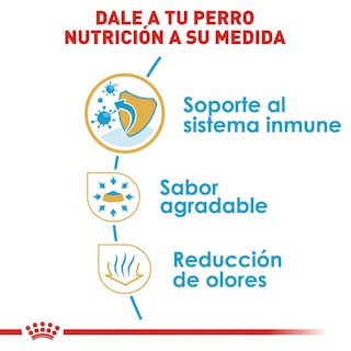 Foto 6 | Foto 6 | Alimento para Perro Chihuahua Puppy Royal Canin 1.1 Kg