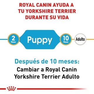 Foto 4 | Foto 4 | Alimento para Perro Yorkshire Puppy Royal Canin 1.1 Kg
