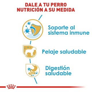 Foto 6 | Foto 6 | Alimento para Perro Yorkshire Puppy Royal Canin 1.1 Kg