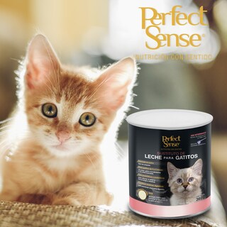 Foto 2 | Foto 2 | Sustituto de Leche para Gatitos 0-2 Meses Perfect Sense 360 gr