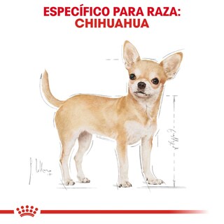 Foto 3 | Foto 3 | Alimento de Perro Royal Canin para Chihuahua Adulto 1.1 kg
