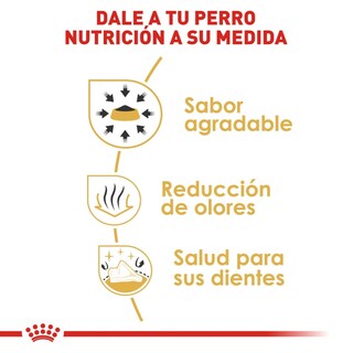 Foto 5 | Foto 5 | Alimento de Perro Royal Canin para Chihuahua Adulto 1.1 kg