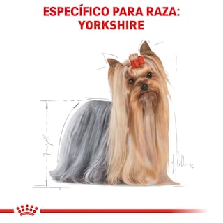 Foto 3 | Foto 3 | Alimento en Croqueta para Yorkshire Adulto Royal Canin 1.1 kg