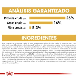 Foto 6 | Foto 6 | Alimento en Croqueta para Yorkshire Adulto Royal Canin 1.1 kg