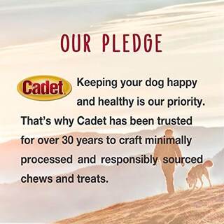 Foto 6 | Foto 6 | Patatas Fritas Dog Treats Cadet Gourmet 0,9 Kg - Venta Internacional.