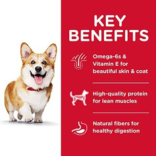 Foto 4 | Foto 4 | Alimento Seco Para Perros Hill's Science Diet Para Adultos, Pequeños Bocados, 15 Kg - Venta Internacional.