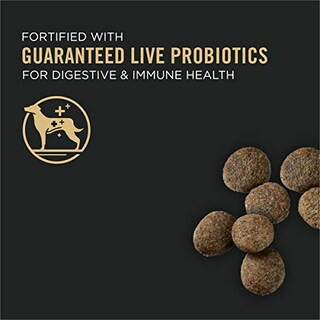 Foto 2 | Foto 2 | Alimento Para Cachorros Purina Pro Plan Para Piel Sensible, Estómago, Salmón 7.2 - Venta Internacional.