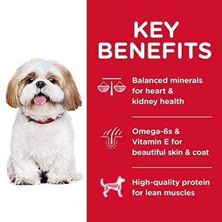 Foto 4 | Foto 4 | Alimento Seco Para Perros Hill's Science Diet Para Adultos Mayores De 7 Años, Pequeños Bocados, 6,8 - Venta Internacional.