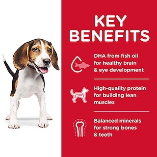 Foto 4 | Foto 4 | Comida Para Perros Hill's Science Diet, Pollo Para Cachorros, Bolsa De 2 Kg - Venta Internacional.