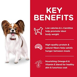 Foto 4 | Foto 4 | Alimento Para Perros Hill's Science Diet, Con Patas Pequeñas Y Ligeras Para Adultos, 2 Kg - Venta Internacional.