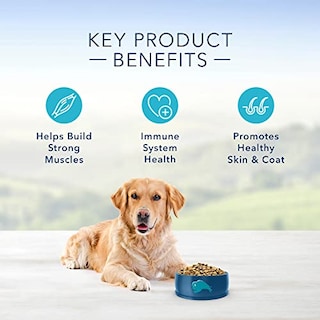 Foto 5 | Foto 5 | Alimento Seco Natural Para Perros Blue Buffalo Life Protecti - Venta Internacional.