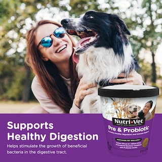 Foto 2 | Foto 2 | Soft Chews Nutri-vet Pre Y Probiotic Para Perros 120 Unidades - Venta Internacional.