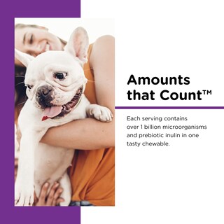 Foto 3 | Foto 3 | Soft Chews Nutri-vet Pre Y Probiotic Para Perros 120 Unidades - Venta Internacional.