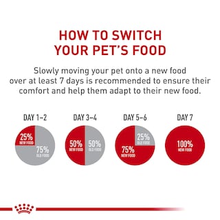 Foto 5 | Foto 5 | Alimento Para Perros Royal Canin Jack Russell Terrier Adulto 4,5 Kg - Venta Internacional.
