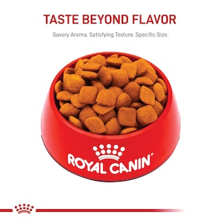 Foto 7 | Foto 7 | Alimento Para Perros Royal Canin Golden Retriever Adulto 7,7 Kg - Venta Internacional.