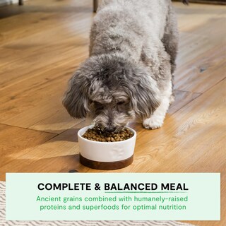 Foto 4 | Foto 4 | Alimento Seco Para Perros Open Farm Ancient Grains, Raza Pequeña, 5 Kg - Venta Internacional.