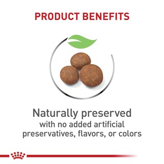 Foto 2 | Foto 2 | Alimento Para Perros Royal Canin Size Health Nutrition Para Cachorros Grandes De 7,7 Kg - Venta Internacional.