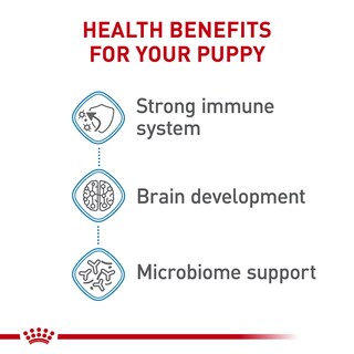 Foto 3 | Foto 3 | Alimento Para Perros Royal Canin Size Health Nutrition Para Cachorros Grandes De 7,7 Kg - Venta Internacional.