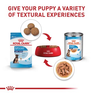 Foto 4 | Foto 4 | Alimento Para Perros Royal Canin Size Health Nutrition Para Cachorros Grandes De 7,7 Kg - Venta Internacional.