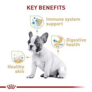 Foto 3 | Foto 3 | Alimento Para Perros Royal Canin French Bulldog Puppy 4,76 Kg - Venta Internacional.