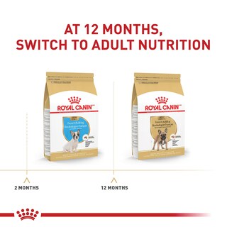 Foto 4 | Foto 4 | Alimento Para Perros Royal Canin French Bulldog Puppy 4,76 Kg - Venta Internacional.