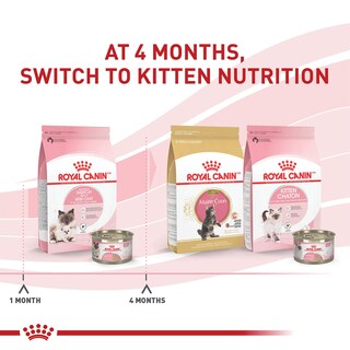Foto 4 | Foto 4 | Alimento Para Gatos Royal Canin Feline Health Mother & Babycat 1,4 Kg - Venta Internacional.