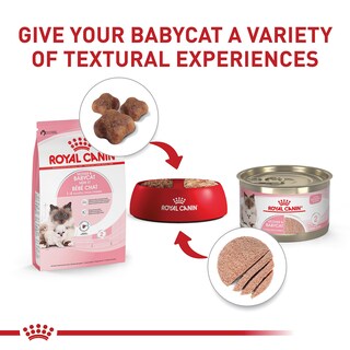 Foto 7 | Foto 7 | Alimento Para Gatos Royal Canin Feline Health Mother & Babycat 1,4 Kg - Venta Internacional.
