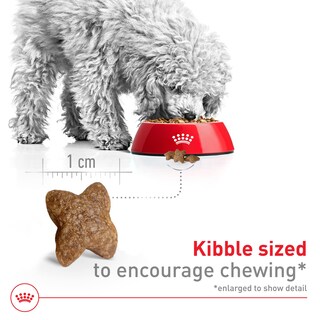 Foto 3 | Foto 3 | Alimento Para Perros Royal Canin Size Health Small Adult 30 Libras - Venta Internacional.